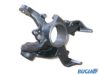 BUGIAD BSP20014 Stub Axle, wheel suspension